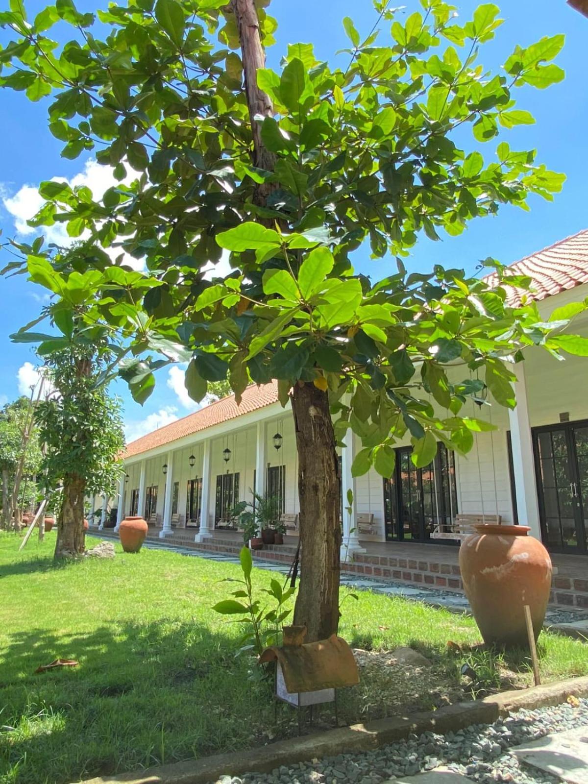 Pasir Putih Resort & Resto Maluk Exteriör bild